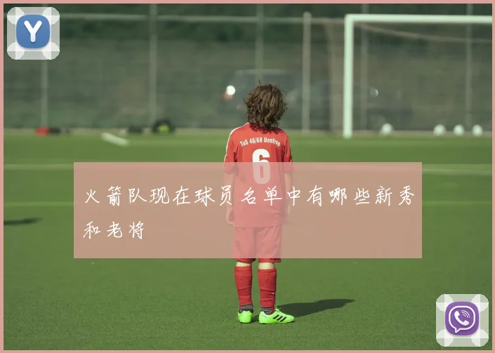 火箭队现在球员名单中有哪些新秀和老将