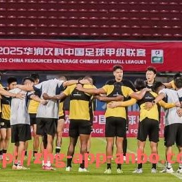安博体育app下载-擅长打小球战术的德甲球队名单及比赛风格解析